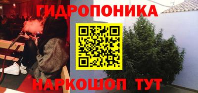 сатива Лениногорск