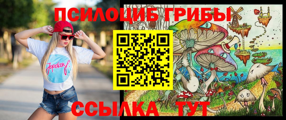 наркотики  Псилоцибиновые грибы мицелий  Вход с VPN  Галлюциногенные грибы Psilocybine cubensis  Кунгур 