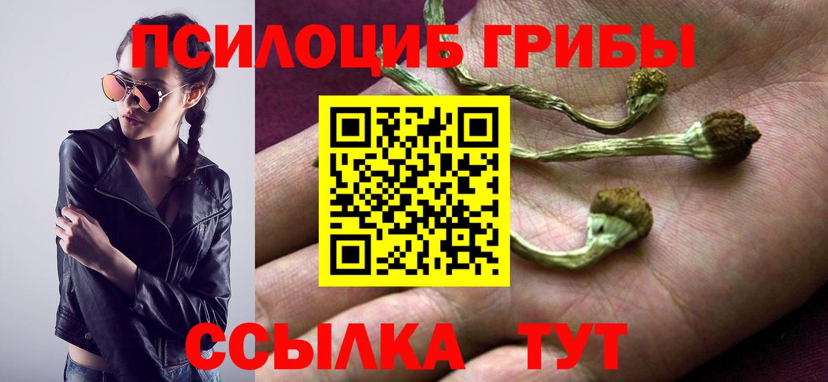 Галлюциногенные грибы Psilocybe Кунгур